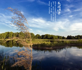新義水鄉中醫藥浴康養、黃龍溪古鎮二日游